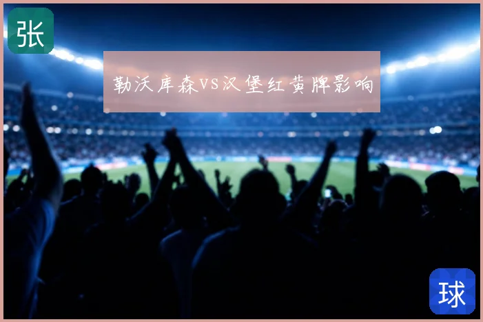 勒沃库森vs汉堡红黄牌影响